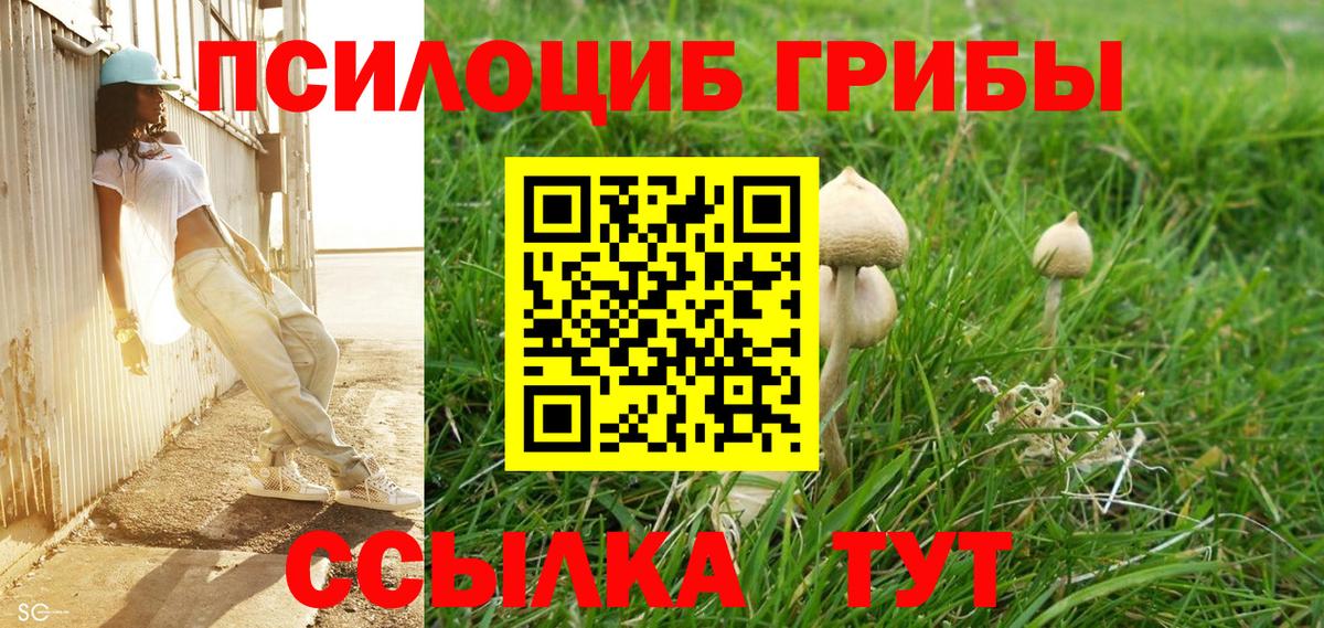 Псилоцибиновые грибы Cubensis  Вход с VPN  Алексин  закладки  Псилоцибиновые грибы мухоморы 